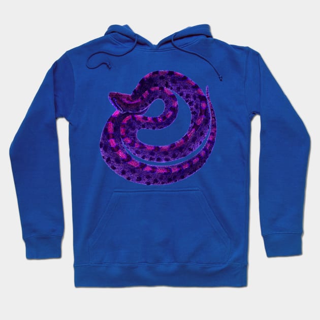 serpent,cobra,reptile,viper,venom,lizard,rattlesnake,king cobra Hoodie by vabontchi